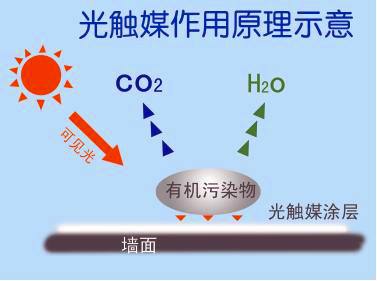 新房除甲醛需要注意哪些？都有哪些有效去除的方法？